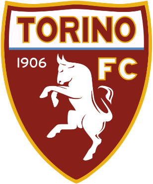 Picture for category Torino