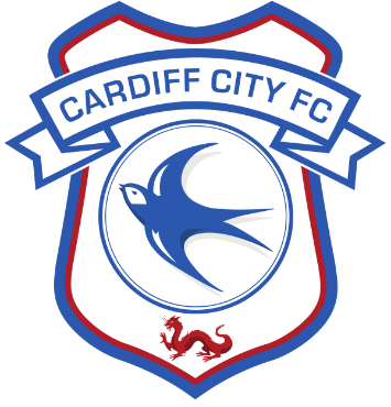 Picture for category Cardiff city