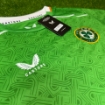 Picture of Ireland 2024 Home