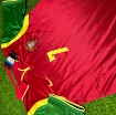 Picture of Portugal 1999 Home Figo