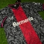 Picture of Leverkusen 2024 Training