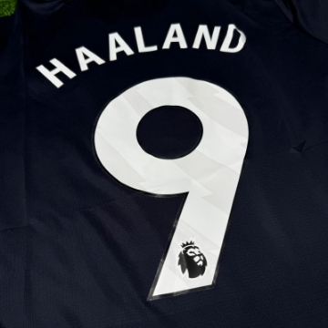 Picture of Manchester City 24/25 Away Haaland