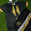 Picture of Palestine 24/25 Special Edition Black/Gold