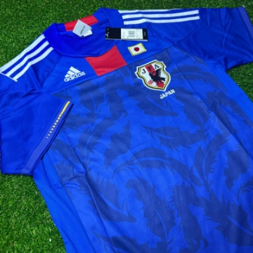 Picture of Japan 2010 Home 