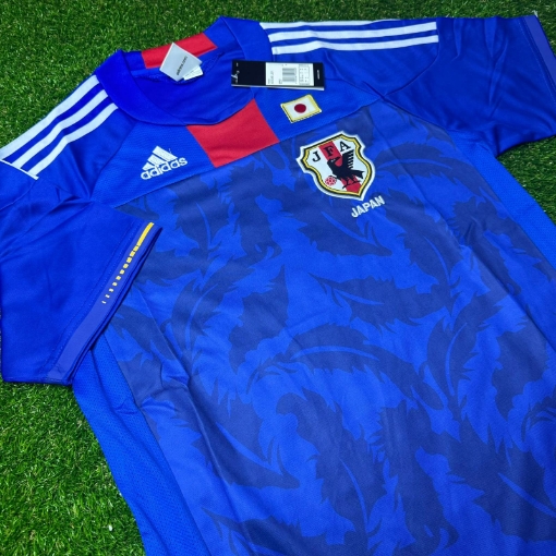 Picture of Japan 2010 Home 
