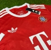 Picture of Bayern Munich 2024 Special Casual Edition Red