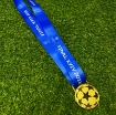 Picture of Champions League Final KYIV 2018 Medal