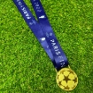 Picture of Champions League Final Paris 2022 Medal