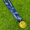 Picture of Champions League Final Berlin 2015 Medal