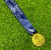 Picture of Champions League Final Lisbon 2014 Medal