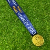 Picture of Champions League Final Wembley 2013 Medal