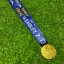 Picture of Champions League Final Wembley 2013 Medal