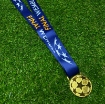 Picture of Champions League Final Wembley 2013 Medal