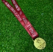 Picture of Champions League Final Roma 2009 Medal