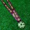 Picture of Champions League Final Moscow 2008 Medal
