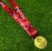 Picture of Champions League Final Istanbul 2005 Medal